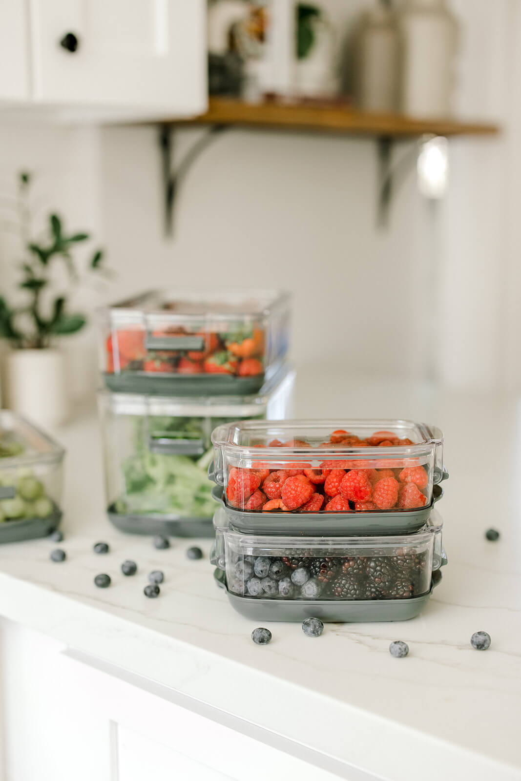 Keep vegetables store fresh longer containers